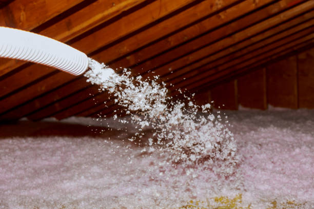 Best Insulation Maintenance and Repair in Maplewood, WA